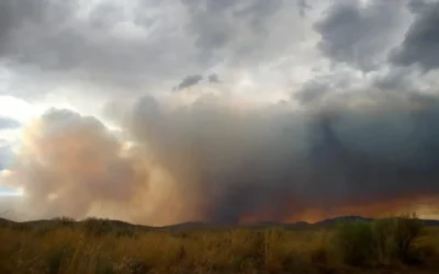 The Hidden Costs of Delay: Interest Rates and Climate Adaptation